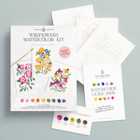 Watercolor Painting Kit : Wildflowers No1