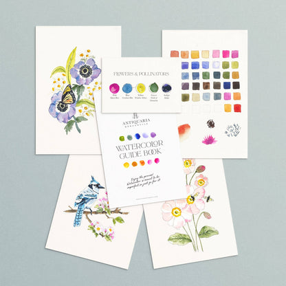 Antiquaria Watercolor Kit: Friend of the Pollinators