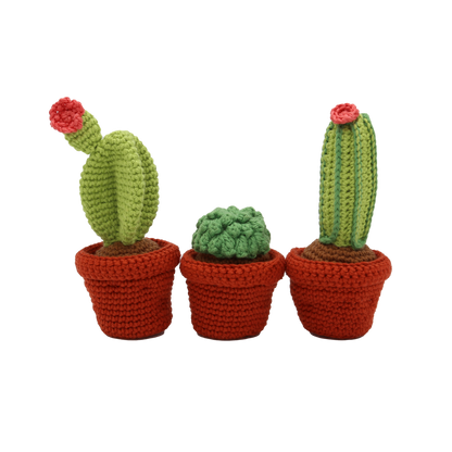DIY Crochet Kit - Cacti
