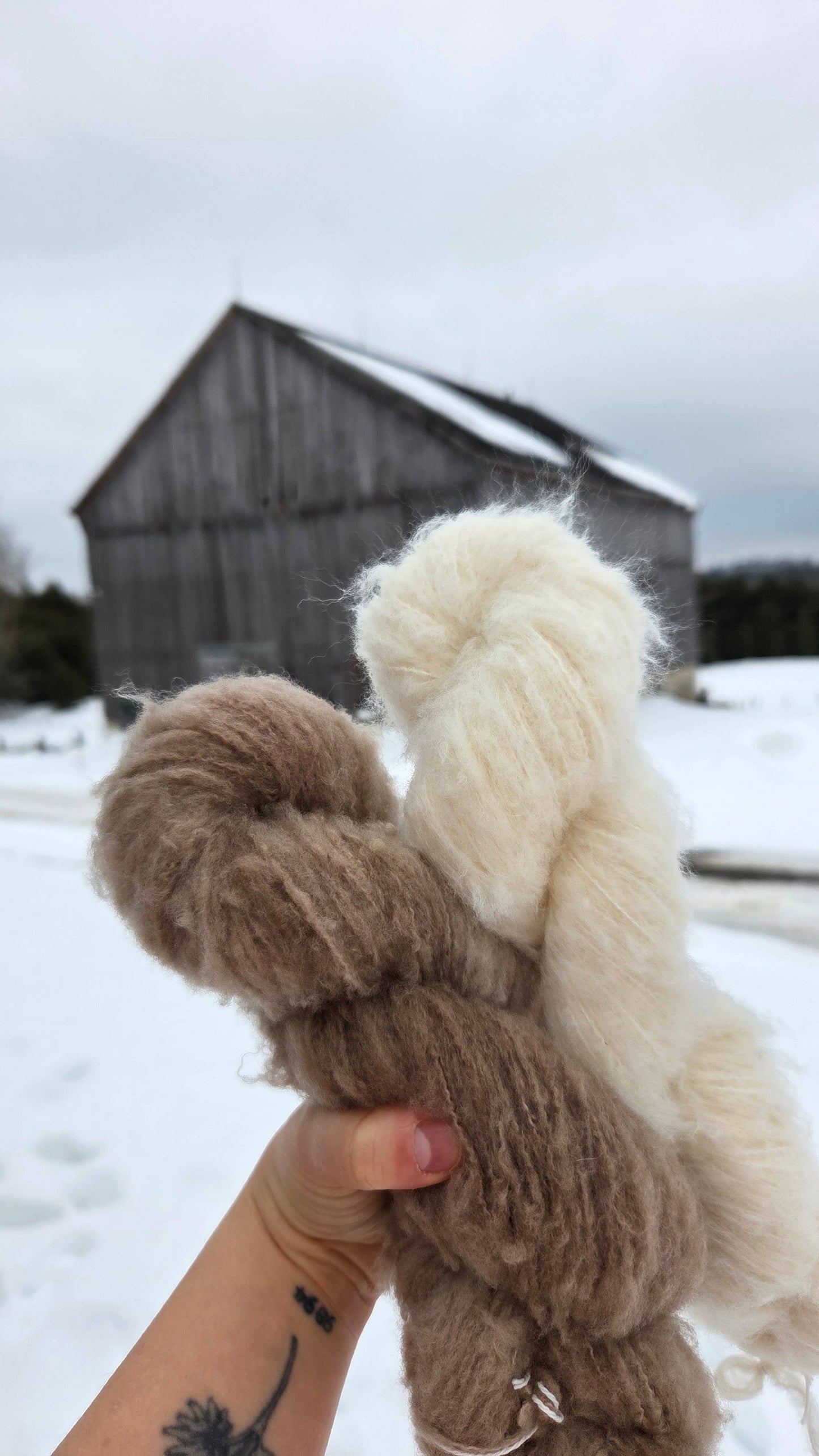 Andra - Extra-fine Brushed Merino Yarn