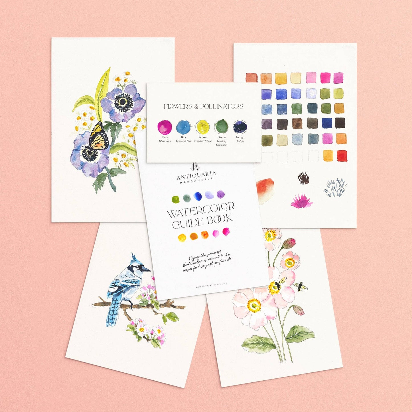 Antiquaria Watercolor Kit: Friend of the Pollinators