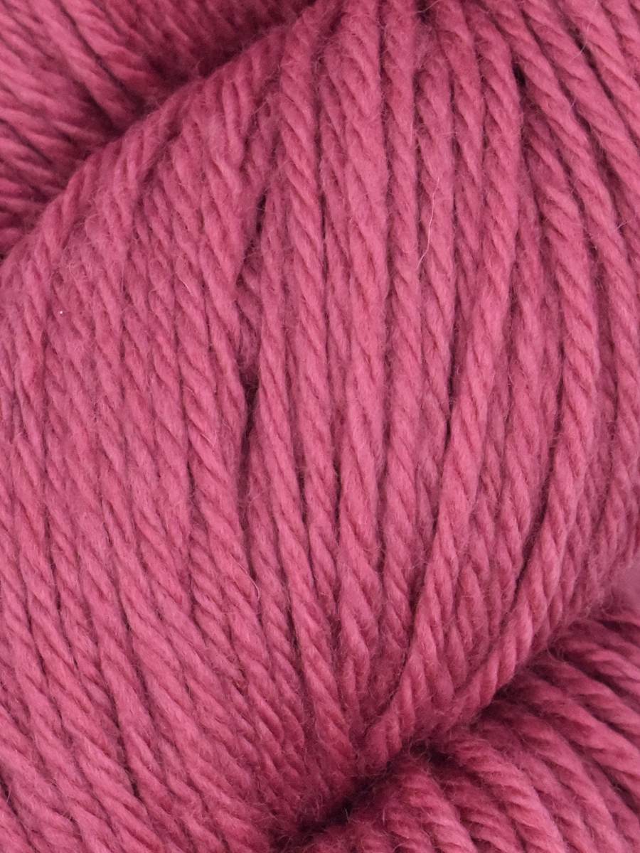 Queensland Falkland Worsted