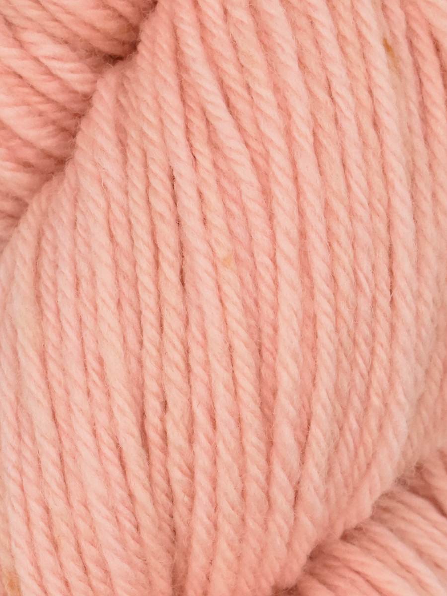 Queensland Falkland Worsted