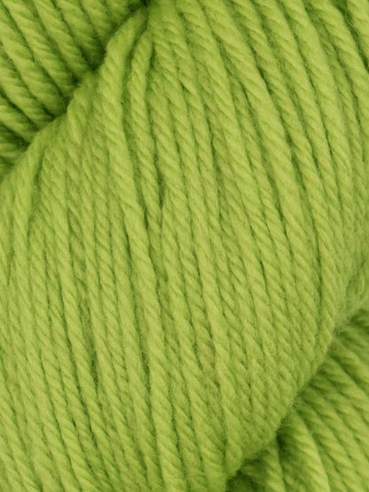 Queensland Falkland Worsted