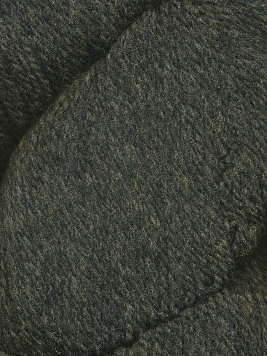 Juniper Moon Patagonia