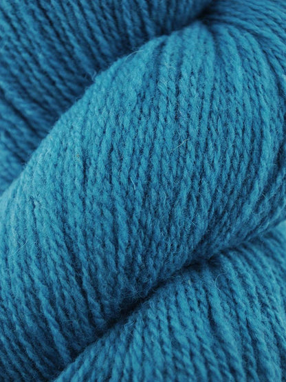 Juniper Moon Patagonia