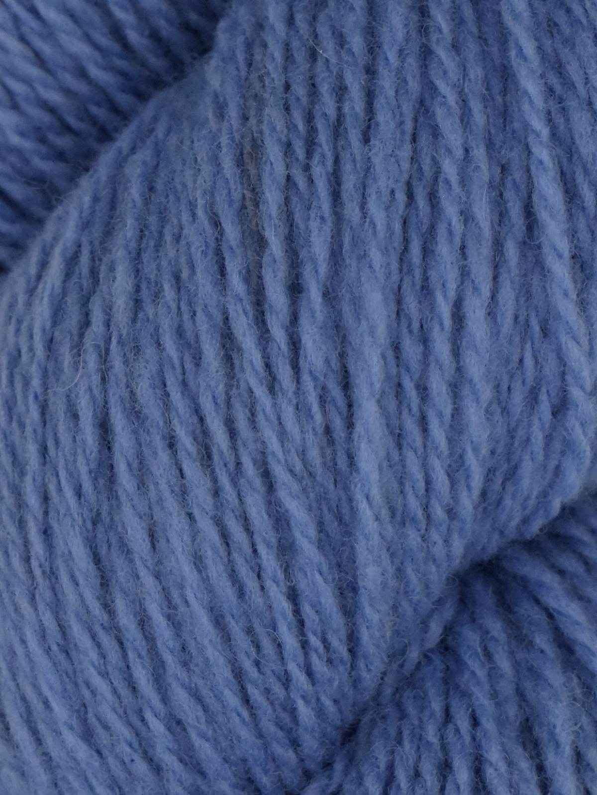 Juniper Moon Patagonia
