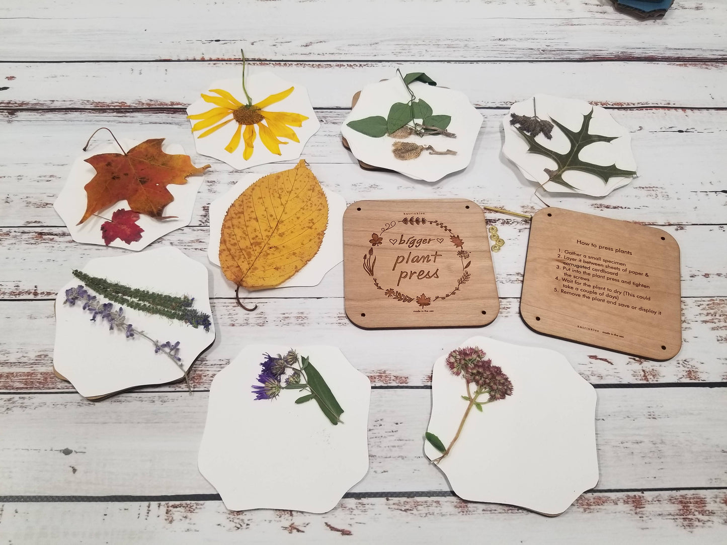 Plant Press Kit