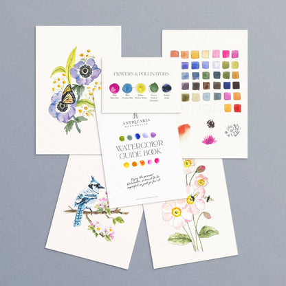 Antiquaria Watercolor Kit: Friend of the Pollinators