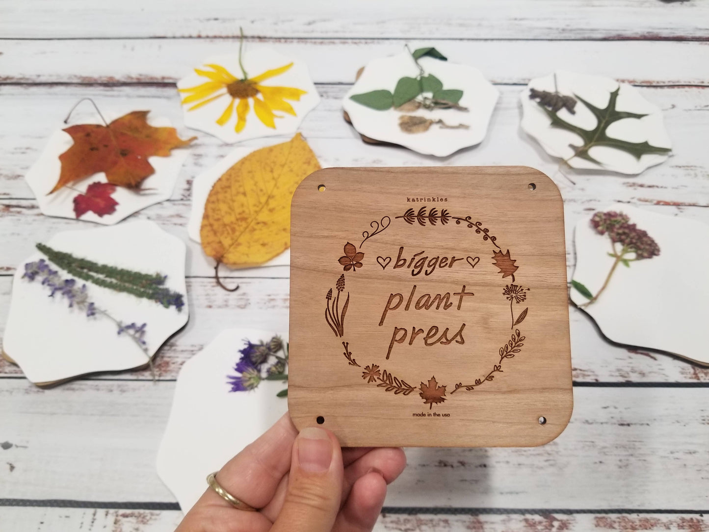 Plant Press Kit