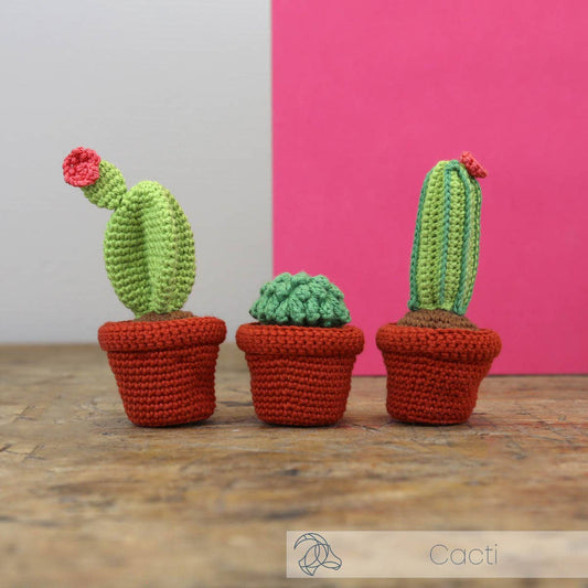DIY Crochet Kit - Cacti